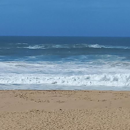 Plage Et Foret Pobral Εξωτερικό φωτογραφία