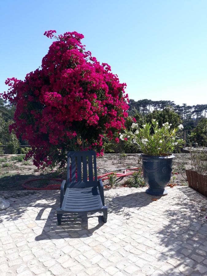 Plage Et Foret Pobral Εξωτερικό φωτογραφία